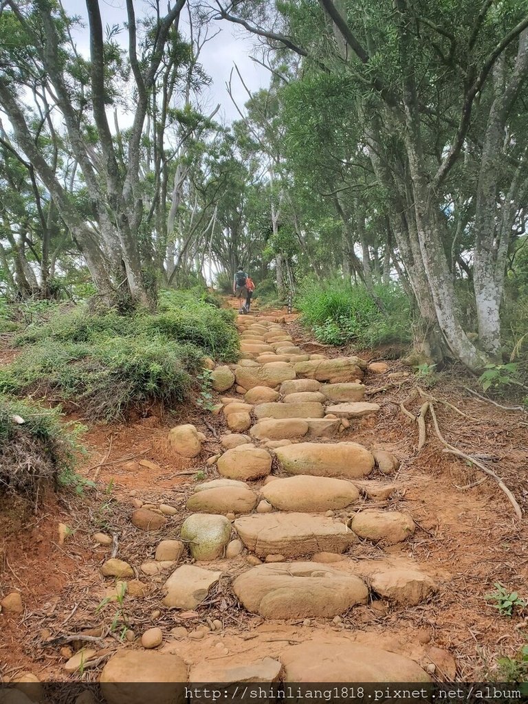 登山 健行步道 火炎山 北鞍古道 親子登山