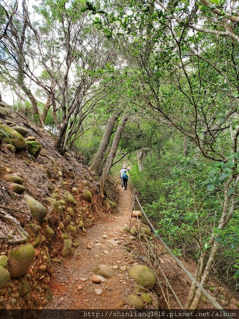 登山 健行步道 火炎山 北鞍古道 親子登山