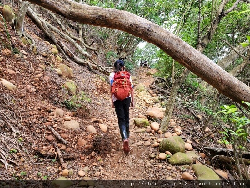 登山 健行步道 火炎山 北鞍古道 親子登山