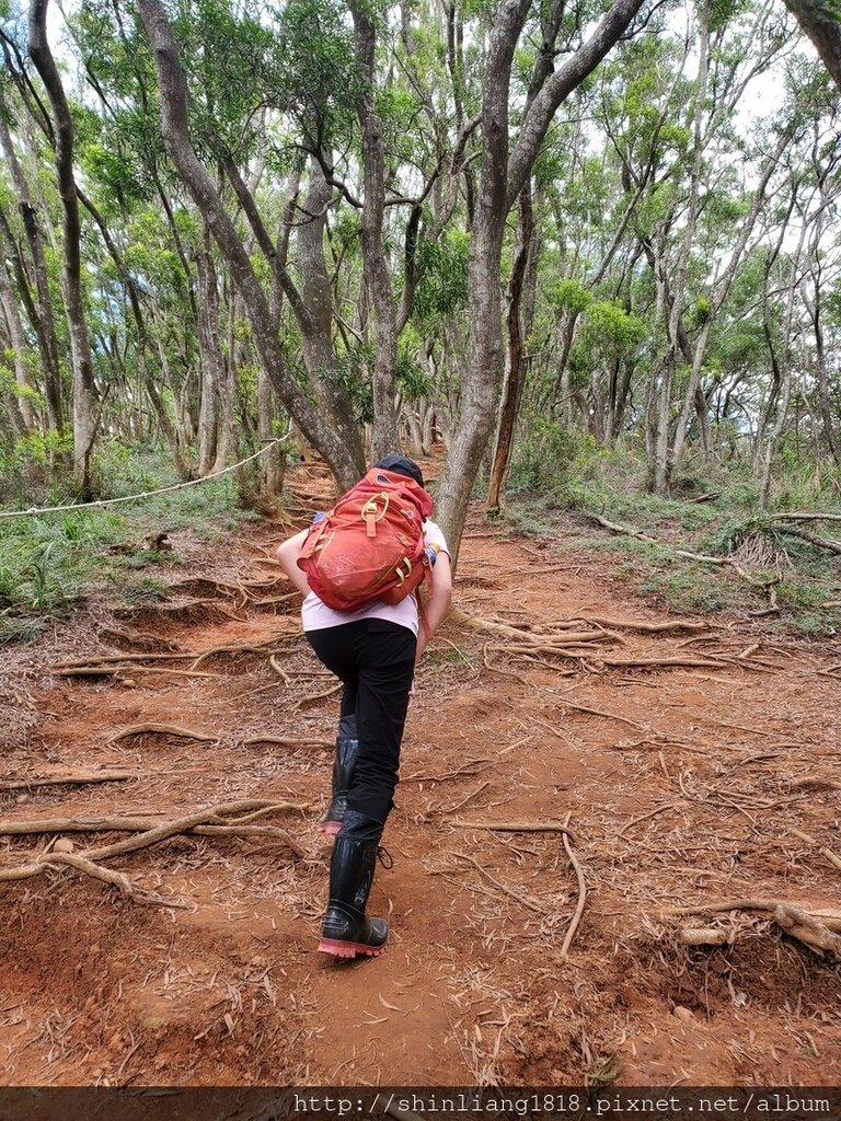 登山 健行步道 火炎山 北鞍古道 親子登山