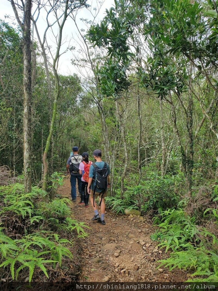 登山 健行步道 火炎山 北鞍古道 親子登山