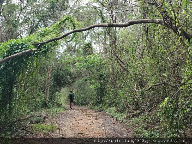 登山 健行步道 火炎山 北鞍古道 親子登山