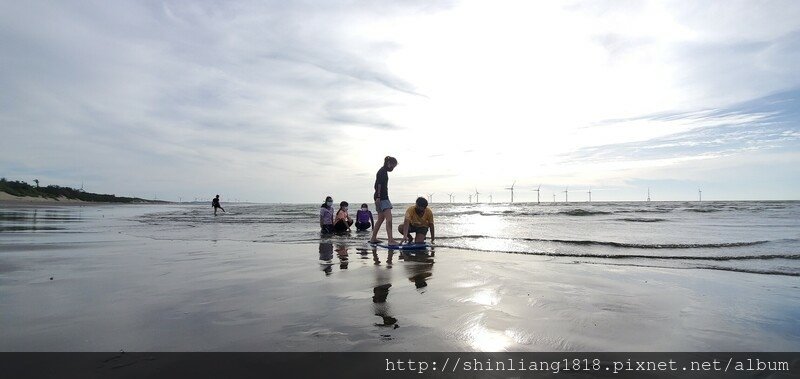 水上活動 沙板 竹南 海邊 玩水