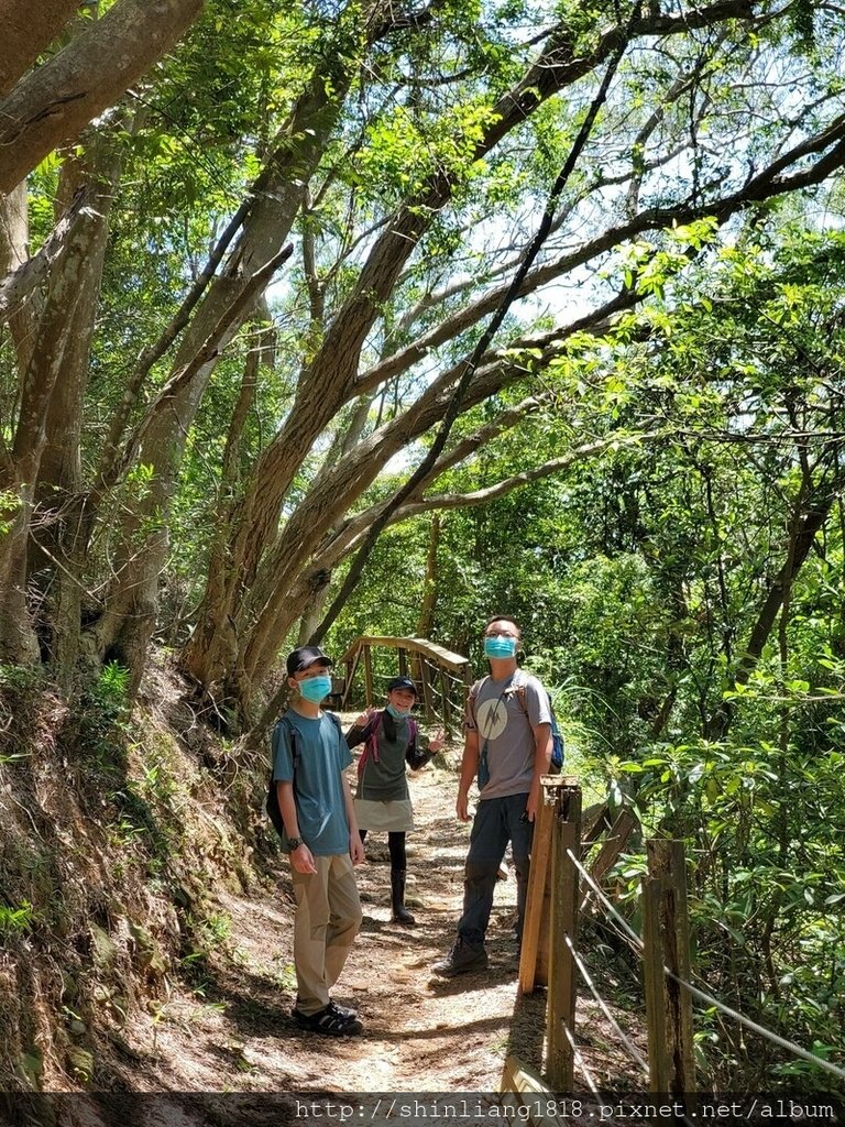 關西 石光古道 親子登山 登山 戶外活動