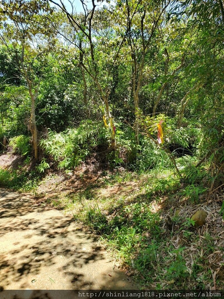 關西 石光古道 親子登山 登山 戶外活動