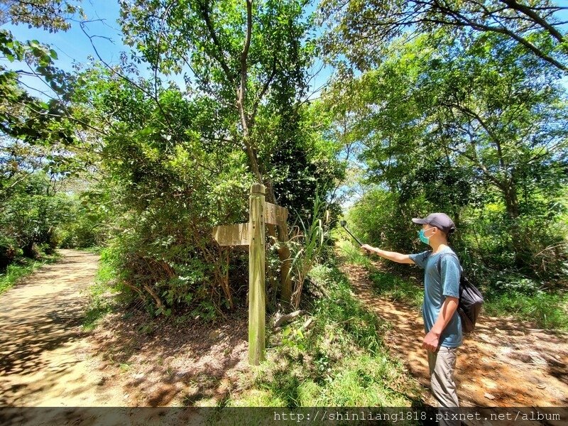 關西 石光古道 親子登山 登山 戶外活動