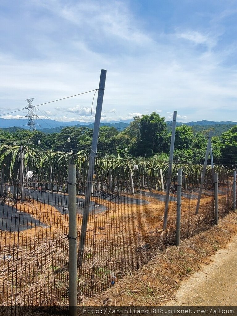 關西 石光古道 親子登山 登山 戶外活動