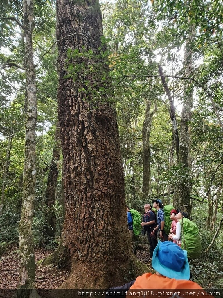 拉拉山 夫婦山 親子登山 登山 夫拉緃走