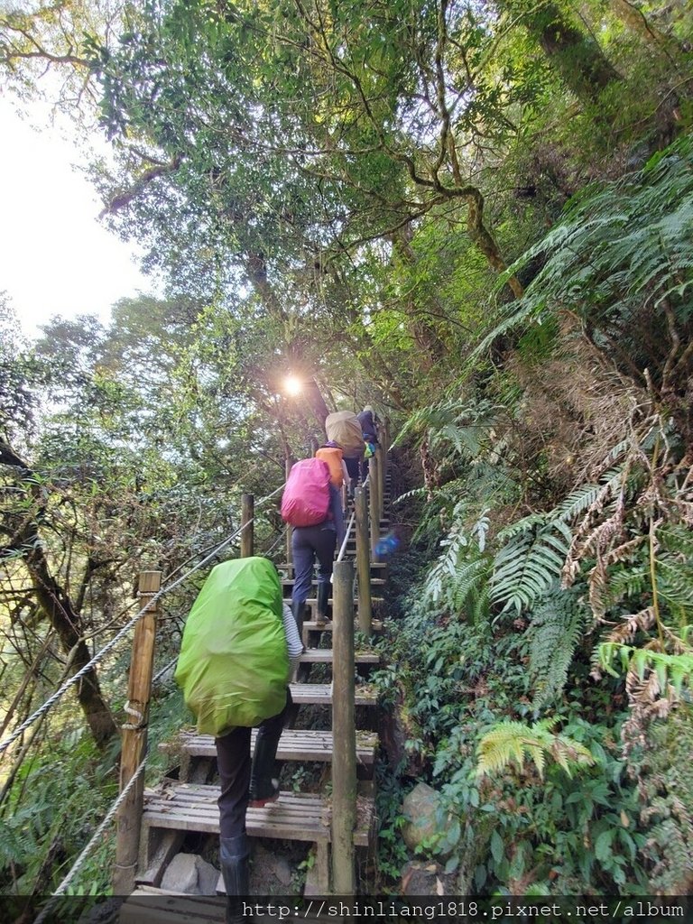 登山 親子登山 大霸尖山 小霸尖山 加利山