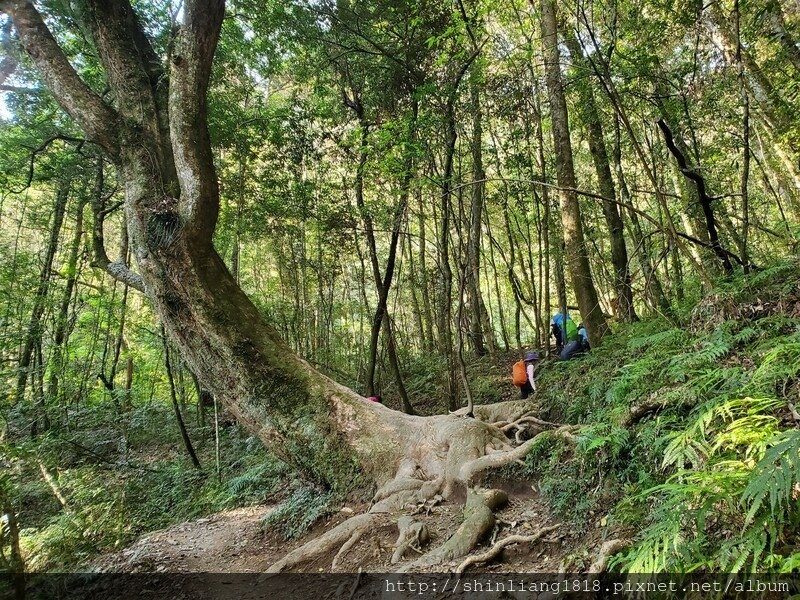 登山 親子登山 大霸尖山 小霸尖山 加利山