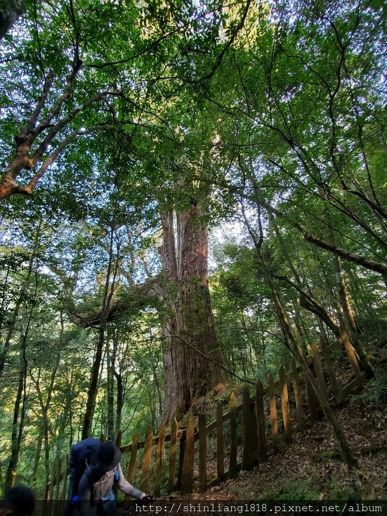 登山 親子登山 大霸尖山 小霸尖山 加利山