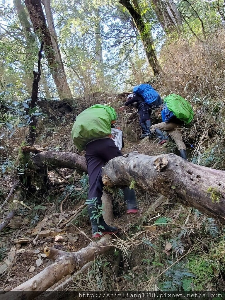 登山 親子登山 大霸尖山 小霸尖山 加利山