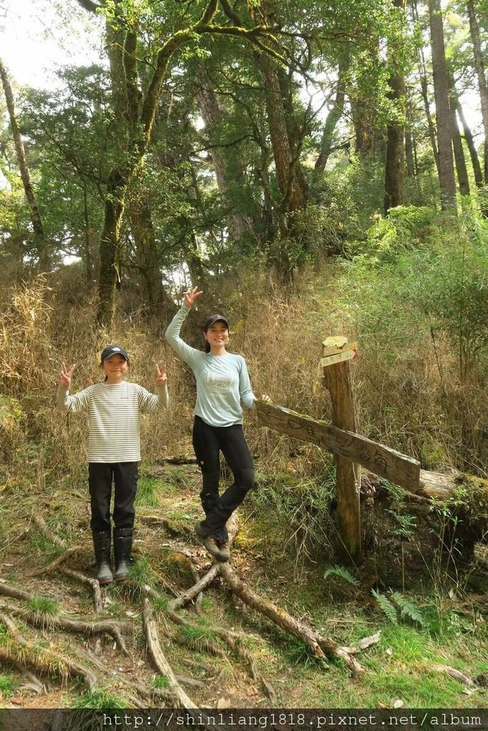 登山 親子登山 大霸尖山 小霸尖山 加利山