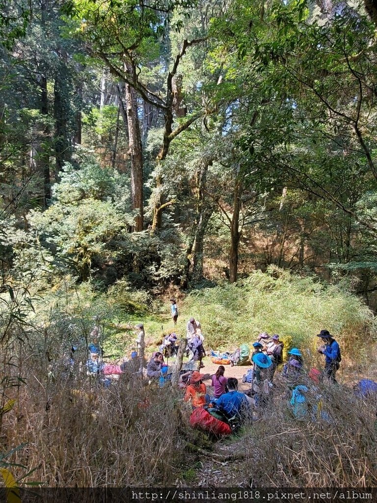 登山 親子登山 大霸尖山 小霸尖山 加利山