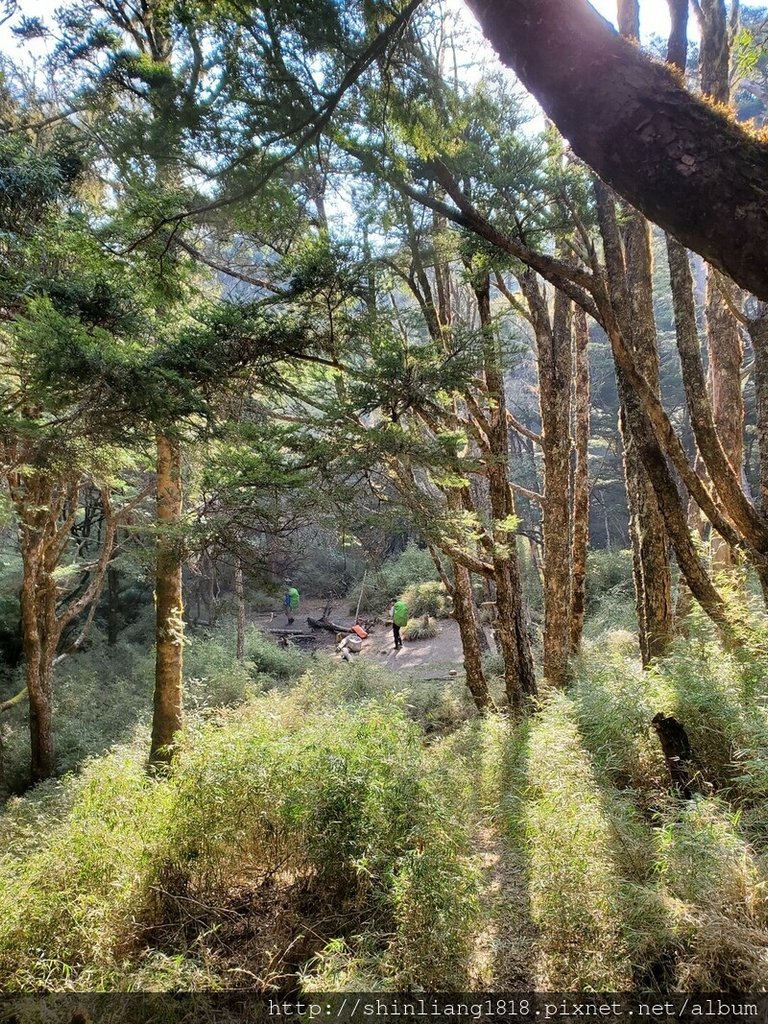 登山 親子登山 大霸尖山 小霸尖山 加利山