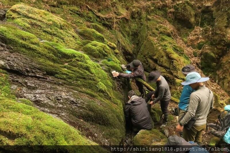 登山 親子登山 大霸尖山 小霸尖山 加利山