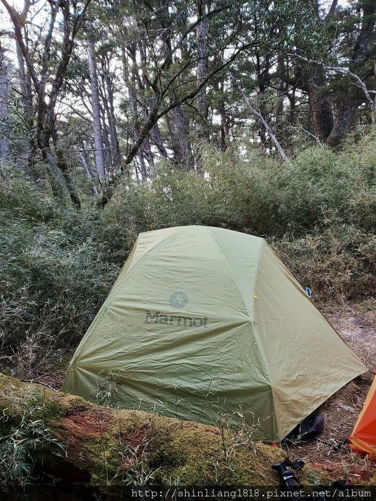 登山 親子登山 大霸尖山 小霸尖山 加利山