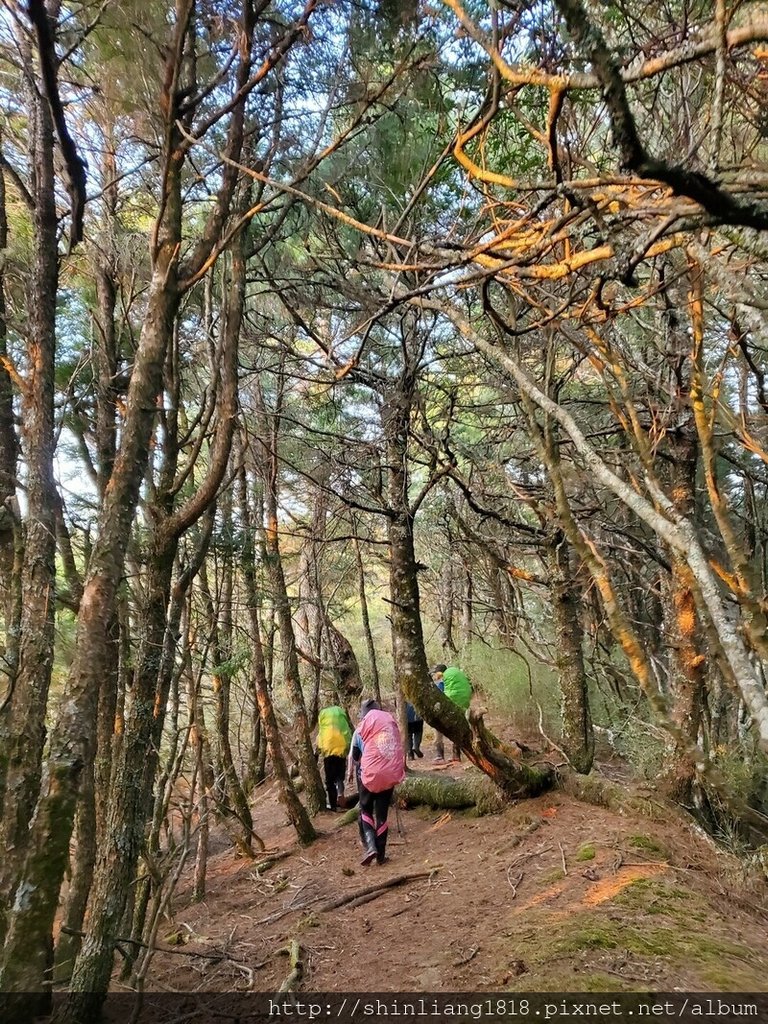 登山 親子登山 大霸尖山 小霸尖山 加利山