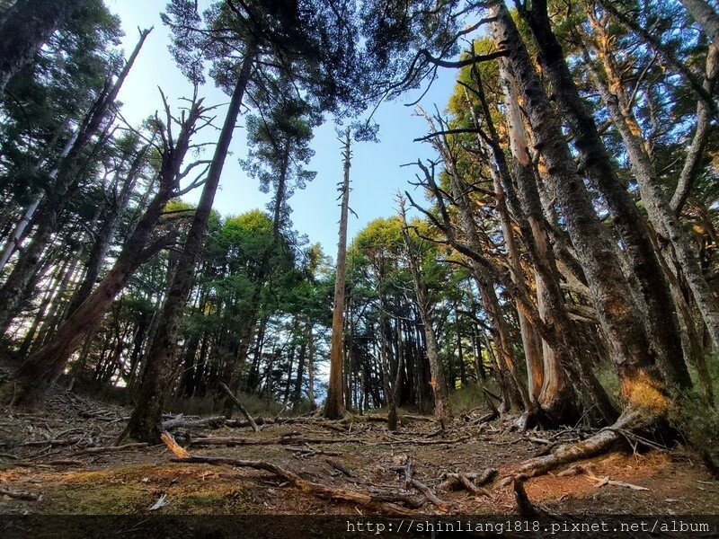 登山 親子登山 大霸尖山 小霸尖山 加利山