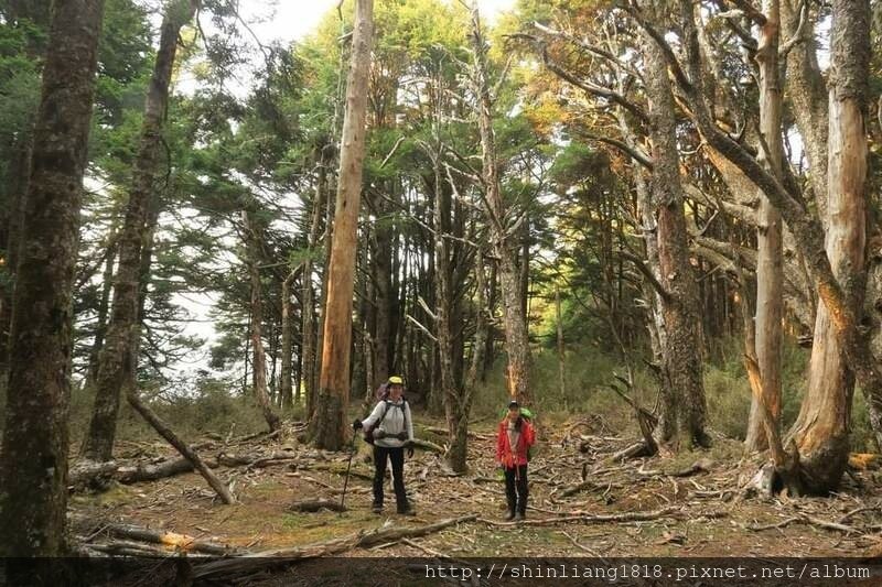 登山 親子登山 大霸尖山 小霸尖山 加利山