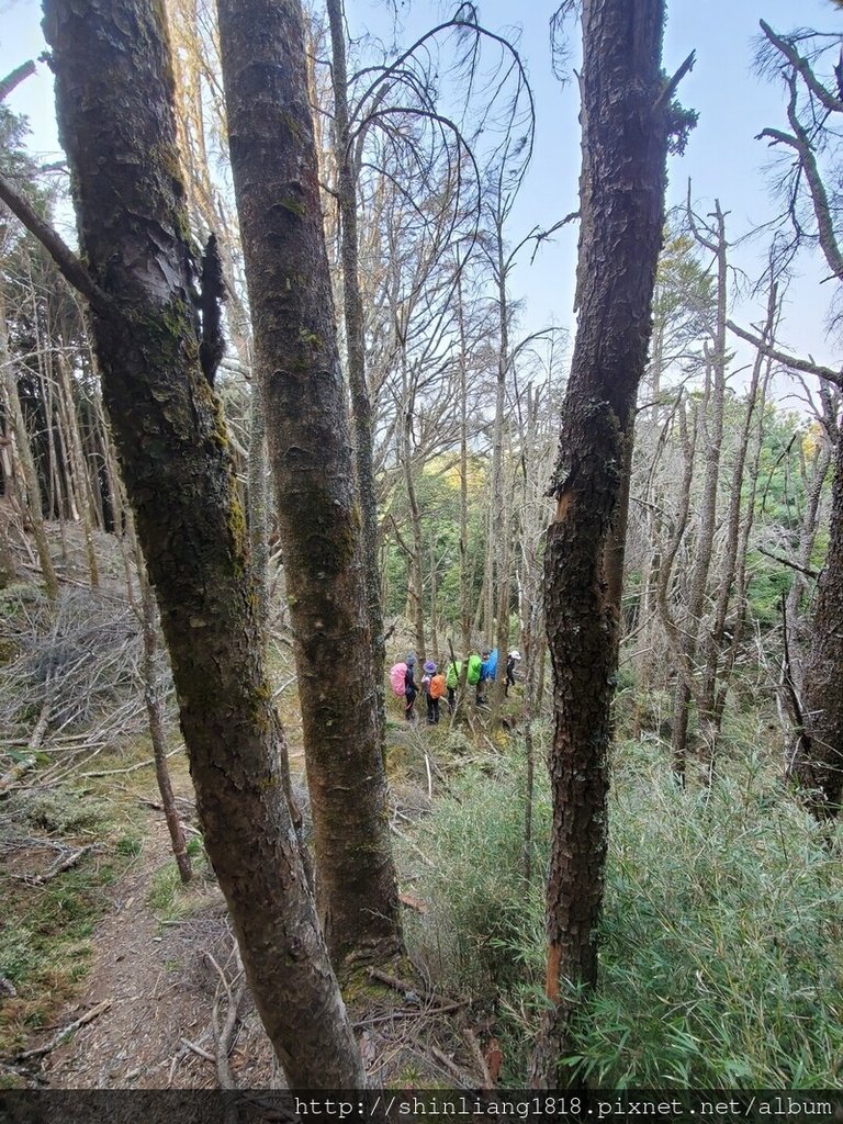 登山 親子登山 大霸尖山 小霸尖山 加利山