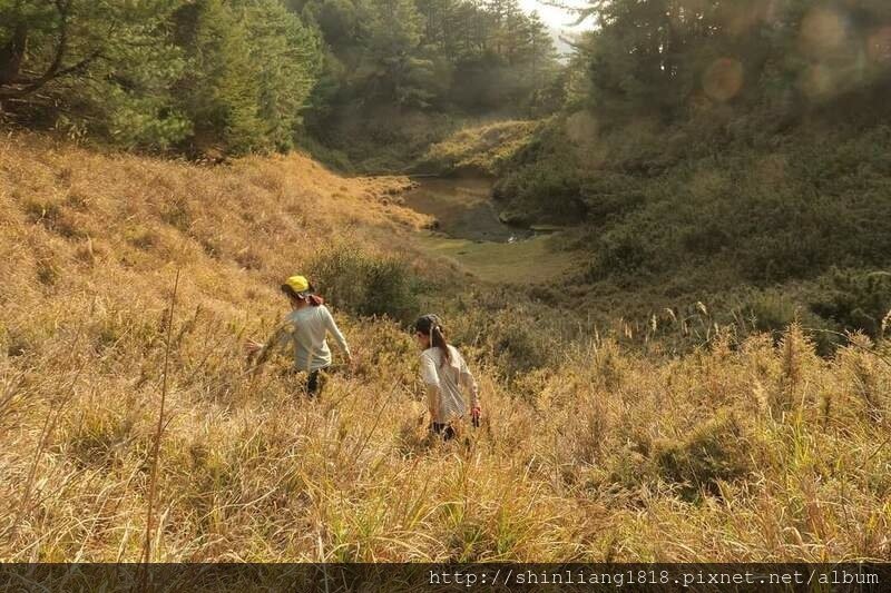 登山 親子登山 大霸尖山 小霸尖山 加利山