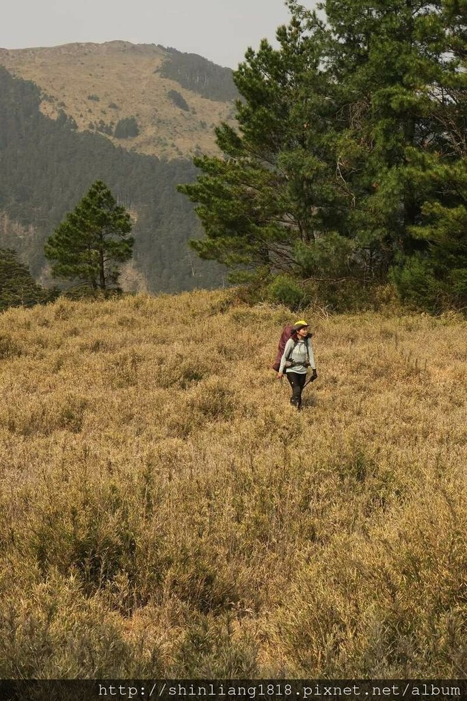 登山 親子登山 大霸尖山 小霸尖山 加利山