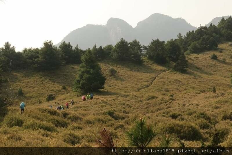 登山 親子登山 大霸尖山 小霸尖山 加利山