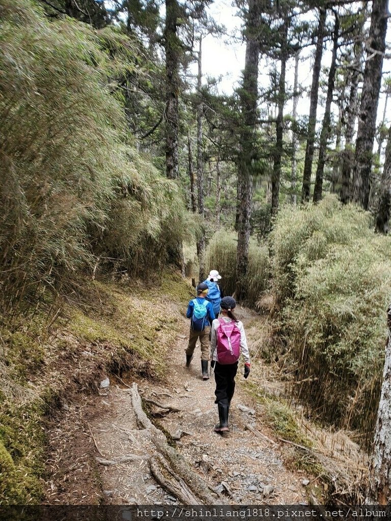 登山 親子登山 大霸尖山 小霸尖山 加利山