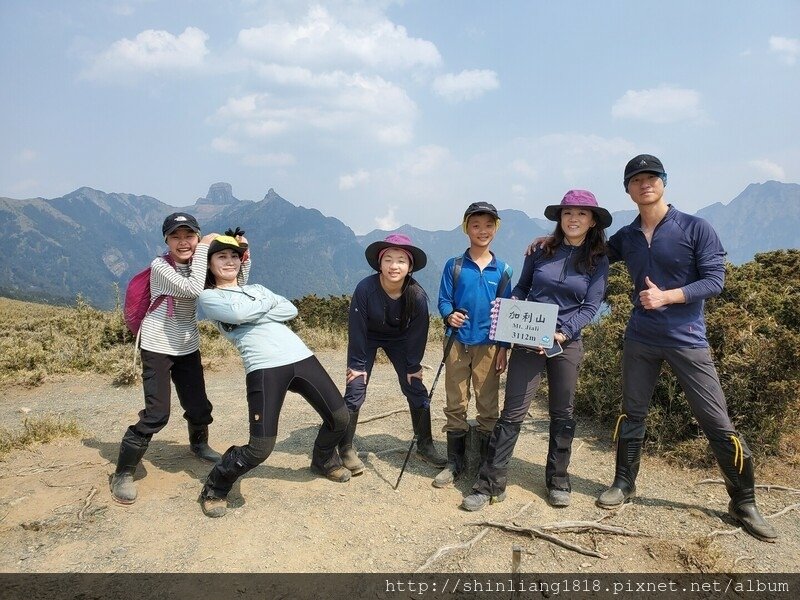 登山 親子登山 大霸尖山 小霸尖山 加利山