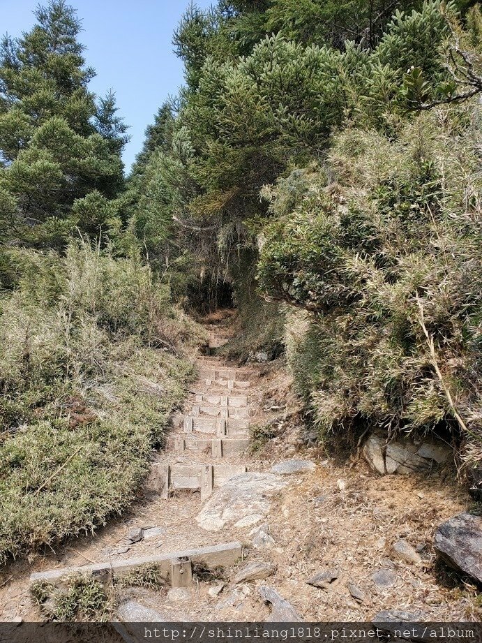 登山 親子登山 大霸尖山 小霸尖山 加利山