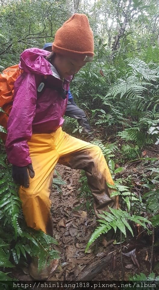 登山 親子登山 金面山 大溪金面山 桃園