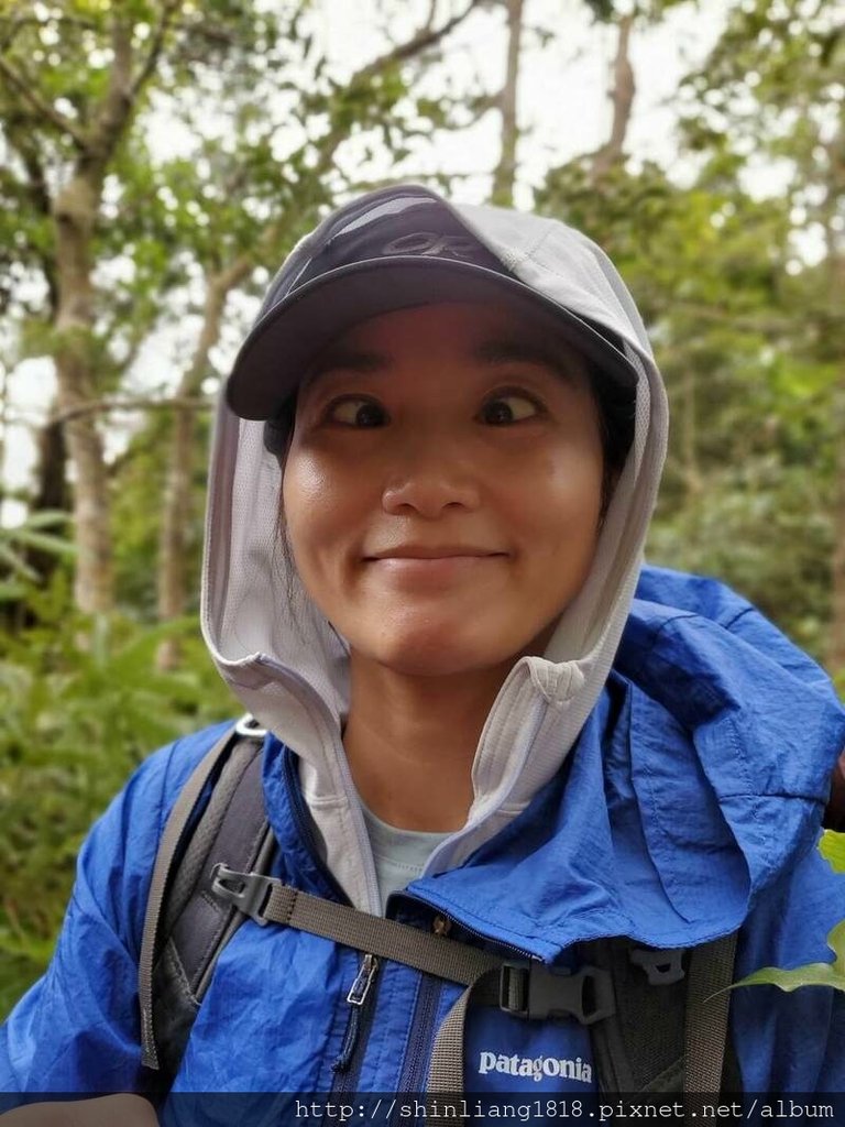 登山 親子登山 金面山 大溪金面山 桃園