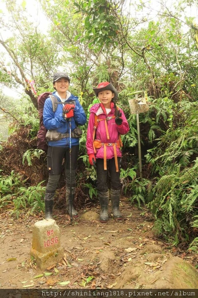 登山 親子登山 金面山 大溪金面山 桃園