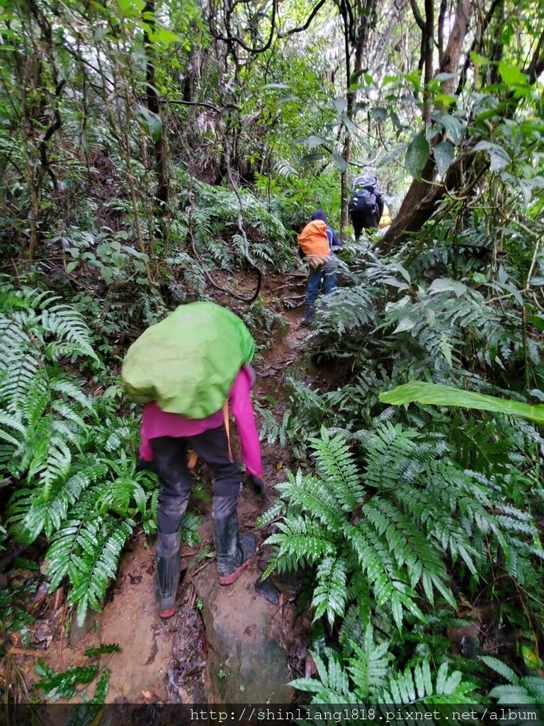 登山 親子登山 金面山 大溪金面山 桃園