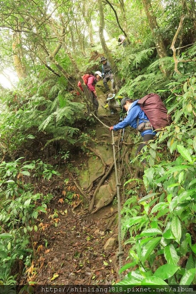 登山 親子登山 金面山 大溪金面山 桃園