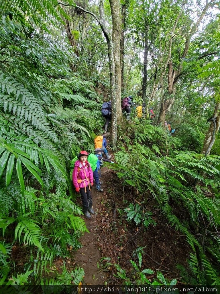 登山 親子登山 金面山 大溪金面山 桃園