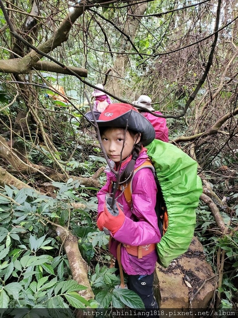 登山 親子登山 金面山 大溪金面山 桃園