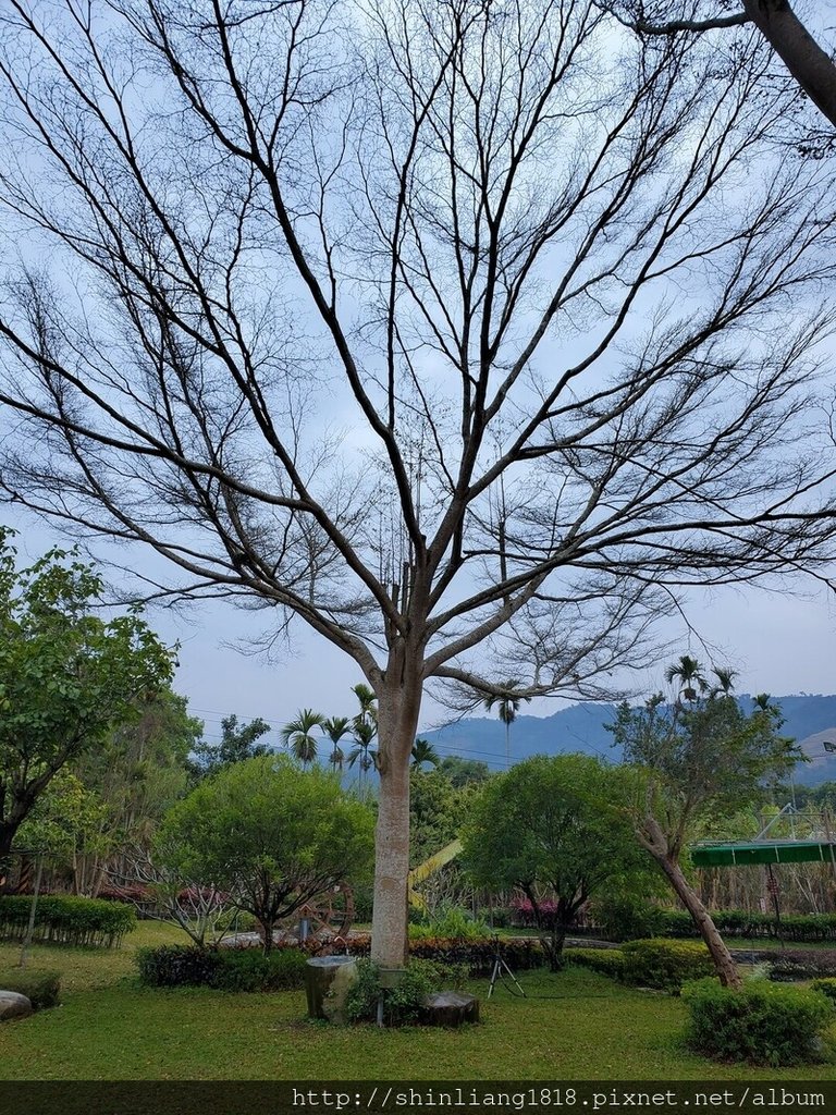 露營 親子露營 南投露營 露營區推薦 露營車