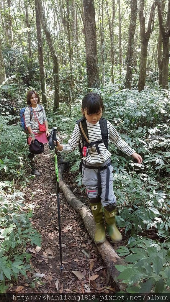 登山 親子登山 親子登山裝備 登山裝備 登山鞋