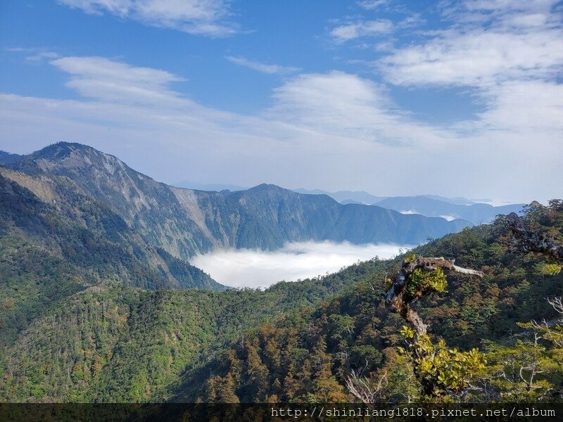 蛋爸與花媽 登山 清水大山 親子登山 野營