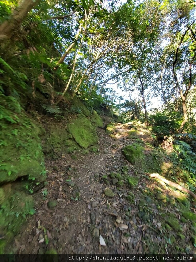 親子登山 聖家山莊 筆架山 山羊洞 登山