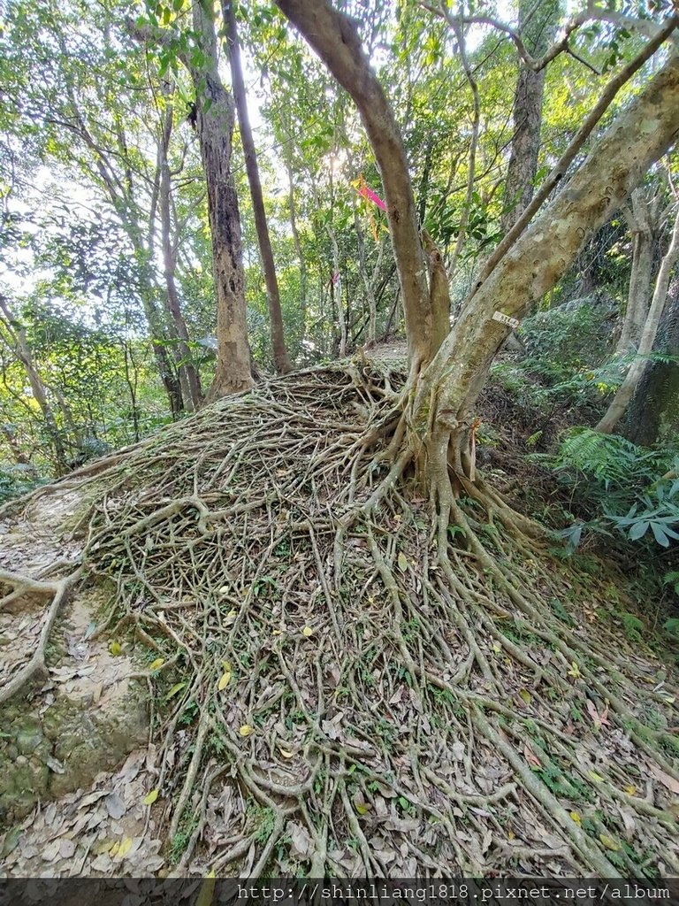 親子登山 聖家山莊 筆架山 山羊洞 登山