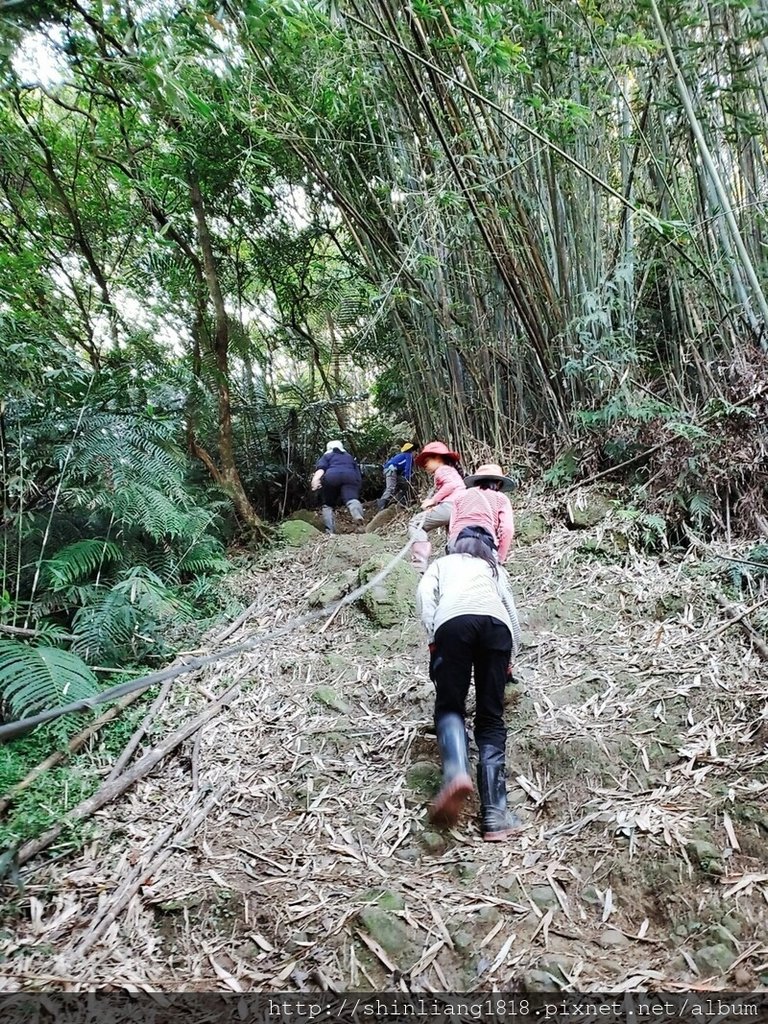 親子登山 聖家山莊 筆架山 山羊洞 登山