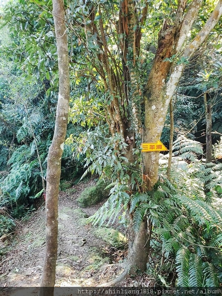 親子登山 聖家山莊 筆架山 山羊洞 登山