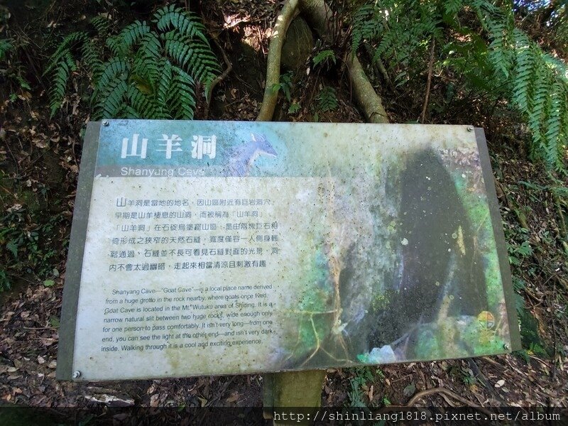 親子登山 聖家山莊 筆架山 山羊洞 登山