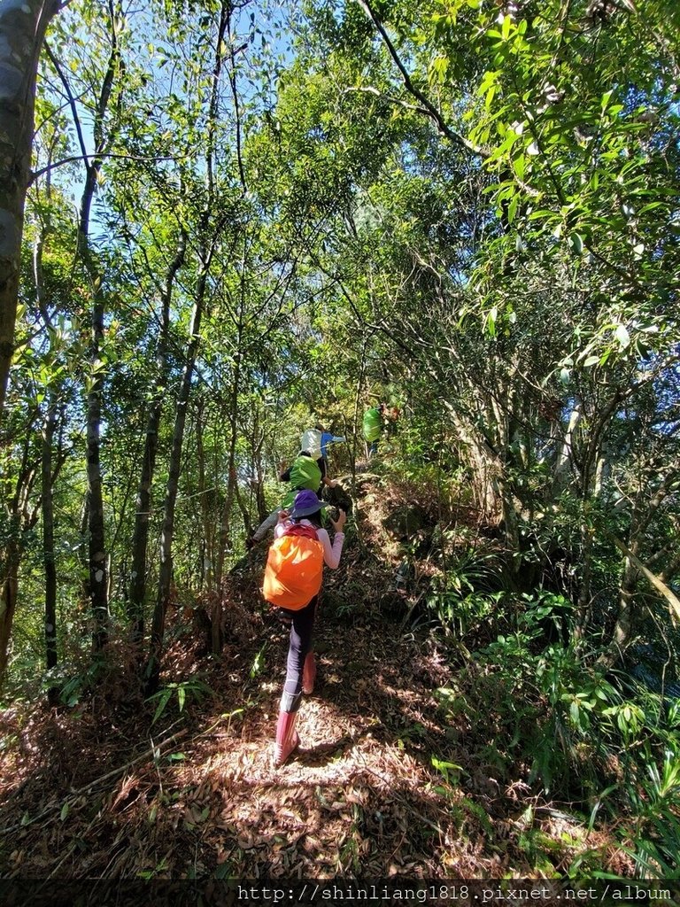 親子登山 聖家山莊 筆架山 山羊洞 登山