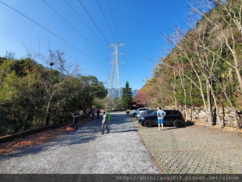 登山 親子登山 谷關七雄 東卯山 德芙蘭步道