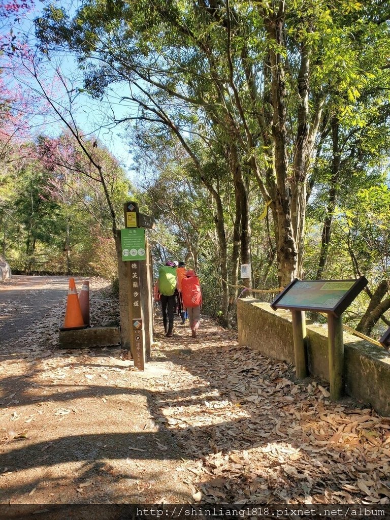 登山 親子登山 谷關七雄 東卯山 德芙蘭步道