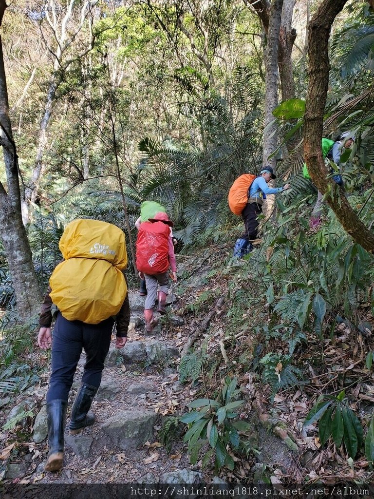 登山 親子登山 谷關七雄 東卯山 德芙蘭步道